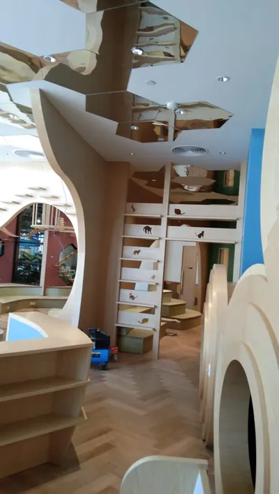 Fit Out - Mitsui Lalaport project photo
